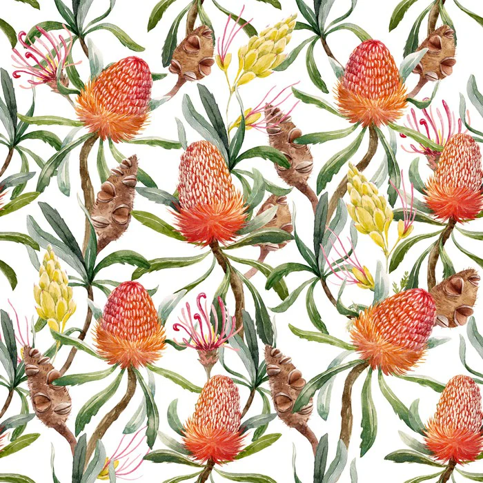 Banksia beauty