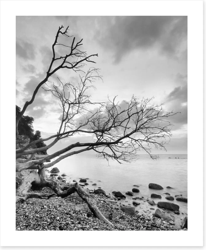 Bare on the beach - Image 2