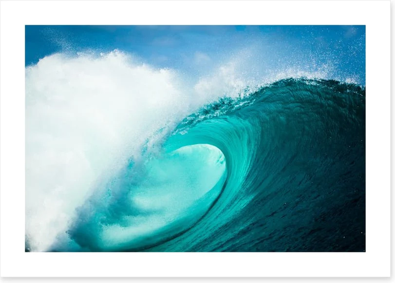 Barrel vision - Image 2