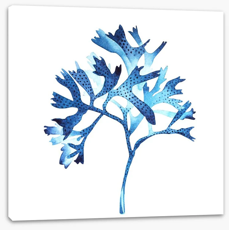 Seaweed blues - Image 2