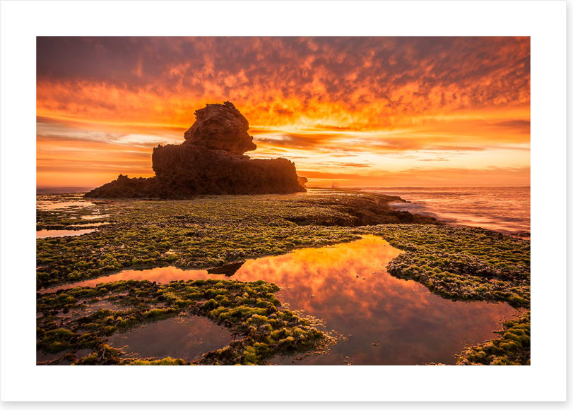 Bay of Islands - Image 2
