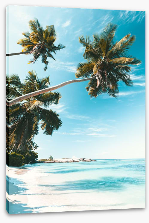 Breezy bay - Image 2