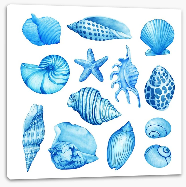 Coastal collection - Image 2