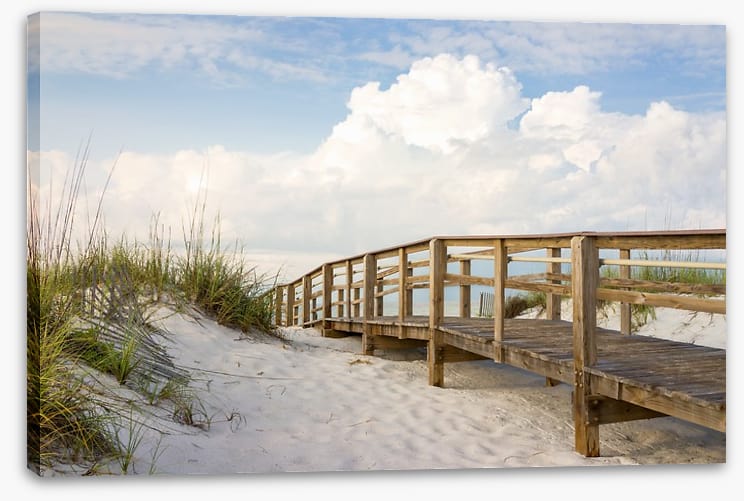 Across the sand dunes - Image 2