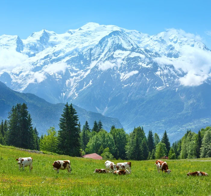 Below Mont Blanc