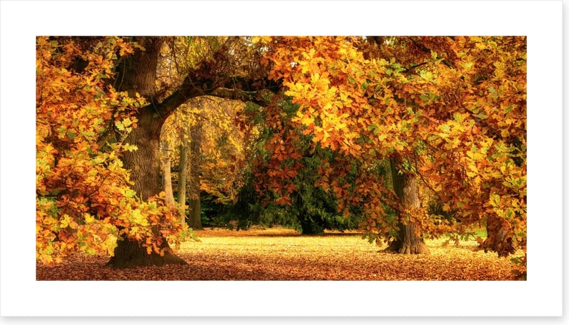 Below the golden bough - Image 2