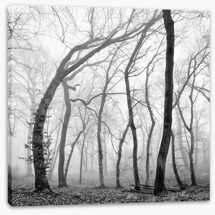 Bent out of shape - Image 2