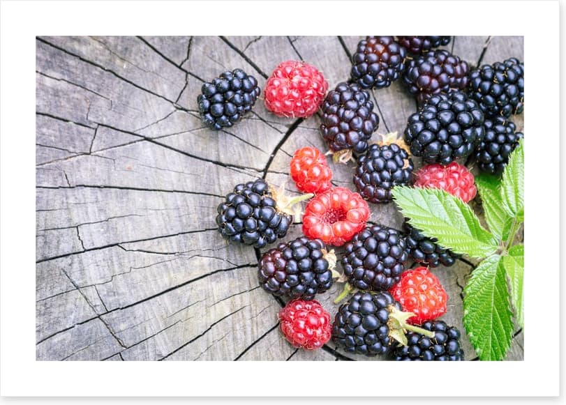 Berries laid bare - Image 2