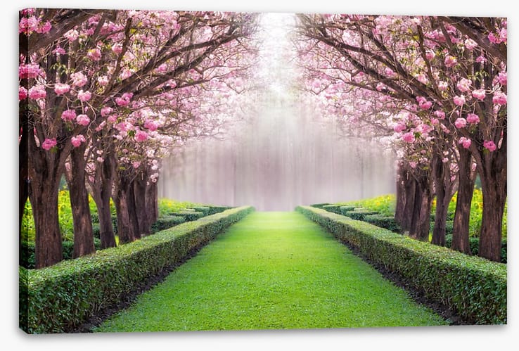 Between the blossom - Image 2