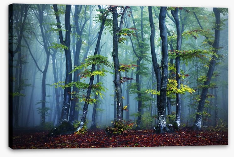 Beyond the mist - Image 2