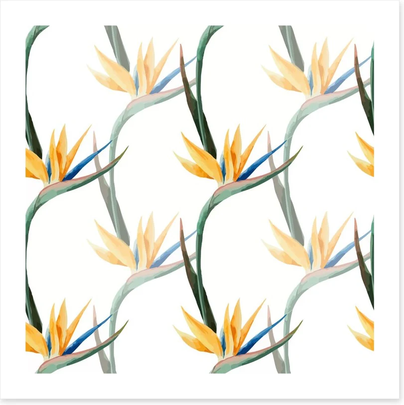Birds of paradise - Image 2