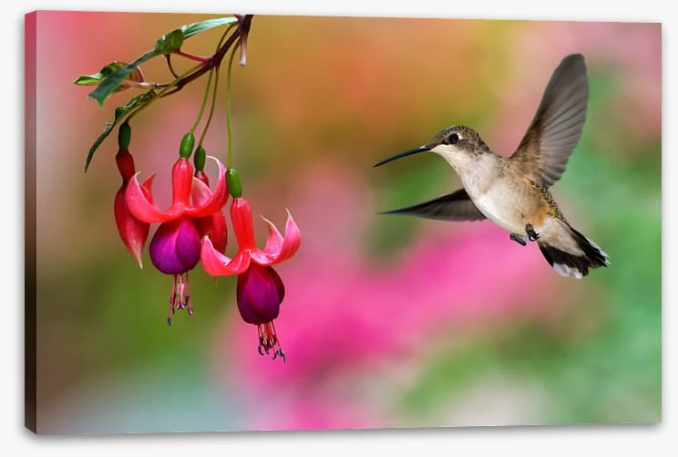 Birds - Image 2