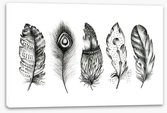 Monochrome quills - Image 2