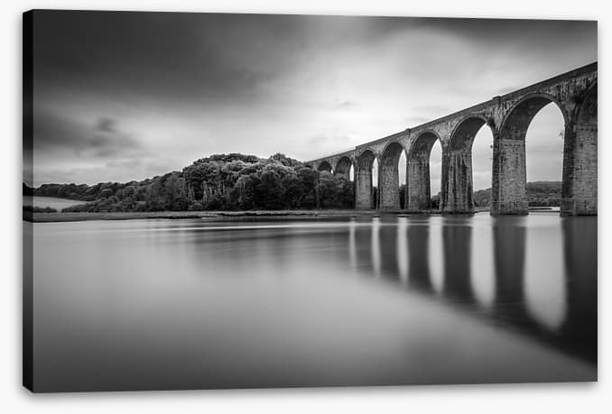 Black and White - Image 2