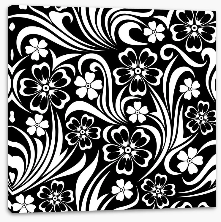 Black and White - Image 2