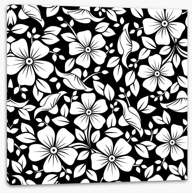 Black and White - Image 2