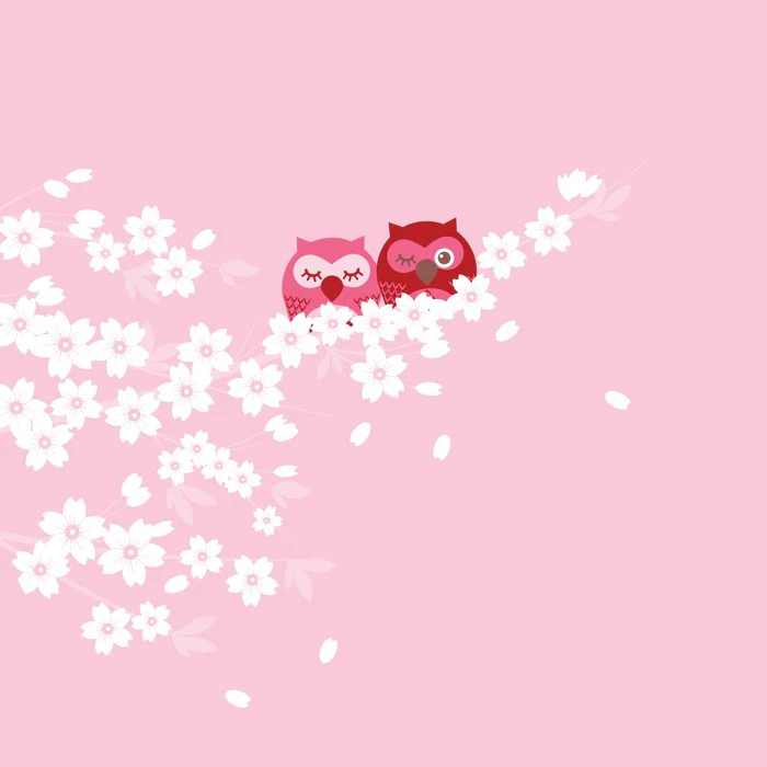 Blossom owls