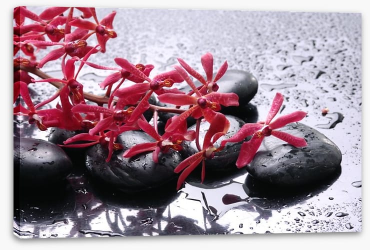 Blossoming zen - Image 2