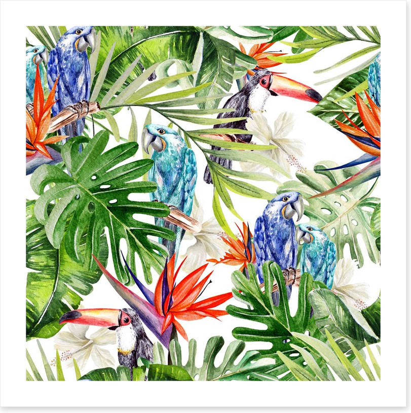 Blue parrot palms - Image 2