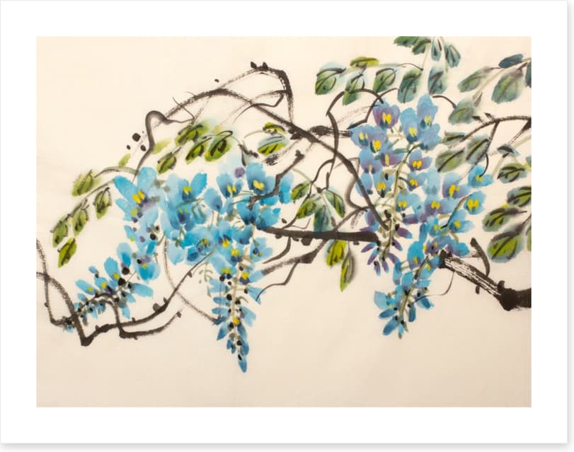 Blue wisteria - Image 2
