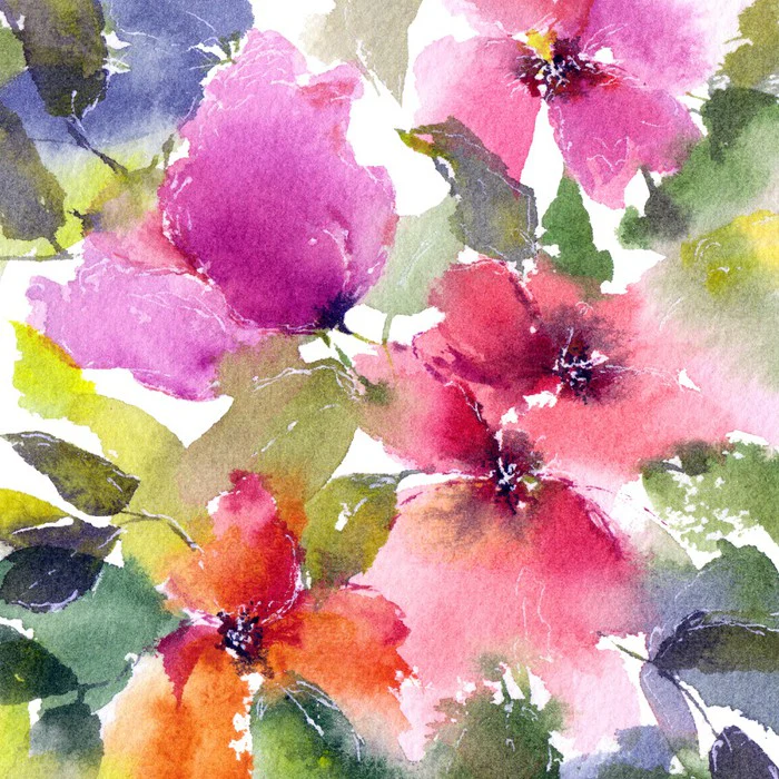 Blushing blooms