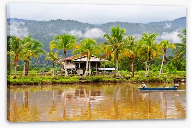 Boating in Borneo - Image 2