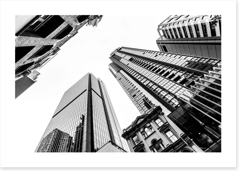 Brisbane giants - Image 2