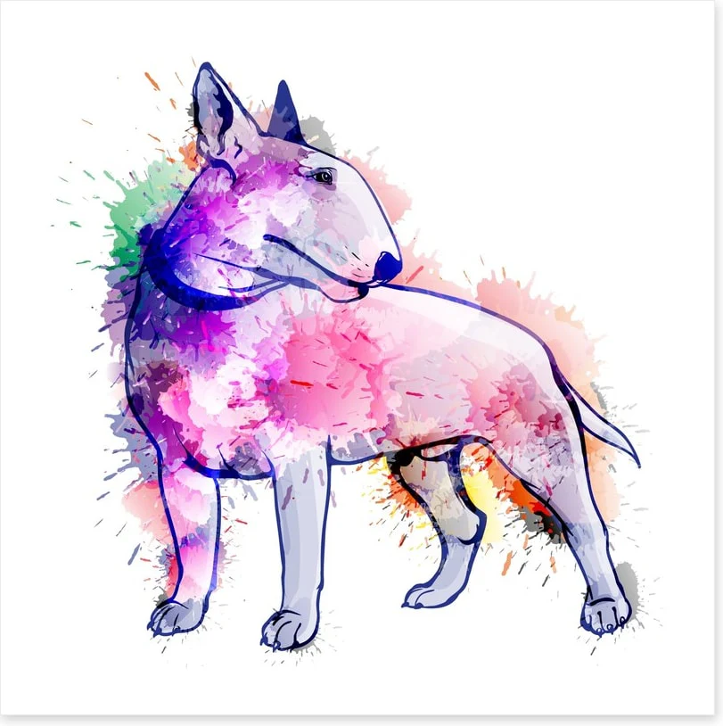 Bull terrier splash - Image 2