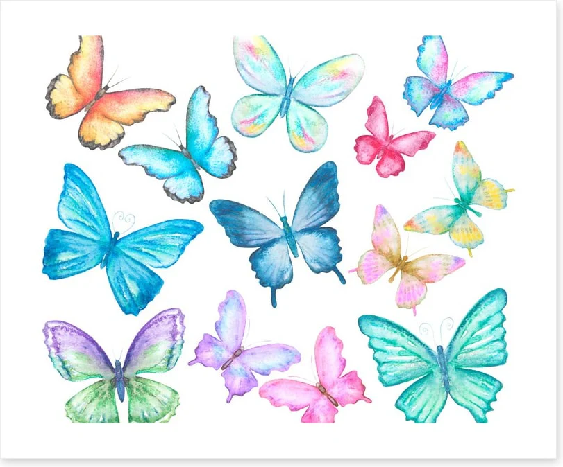 Butterflies - Image 2