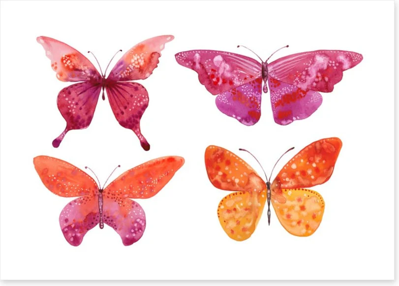 Butterflies - Image 2