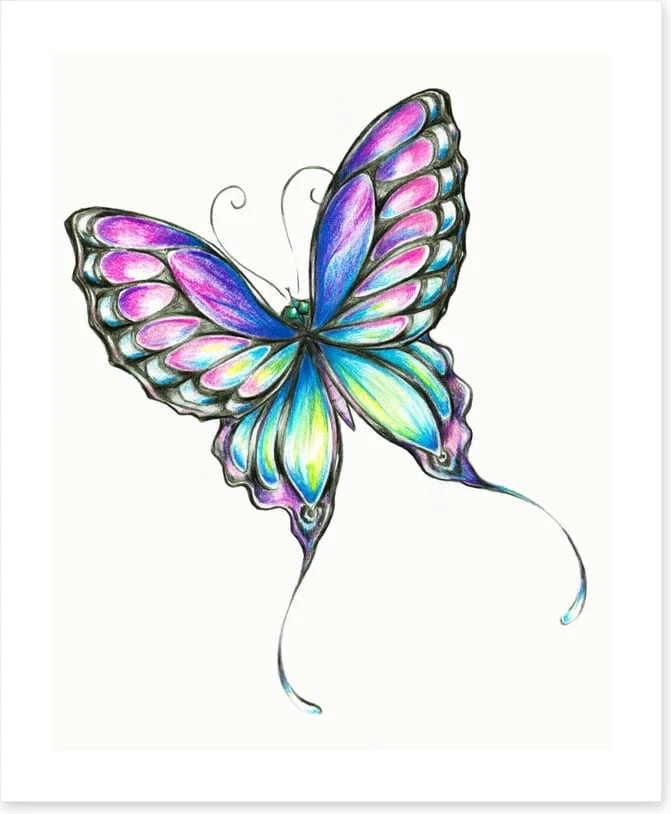 Butterflies - Image 2
