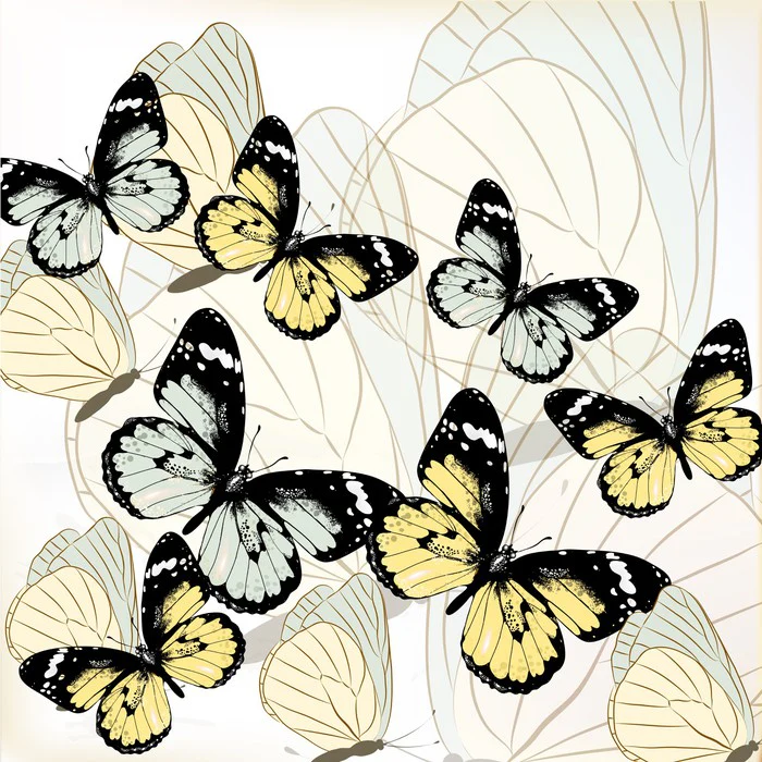 Butterflies