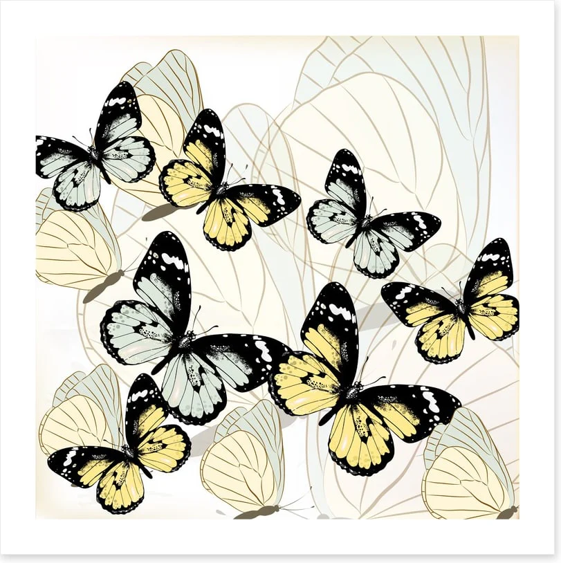 Butterflies - Image 2