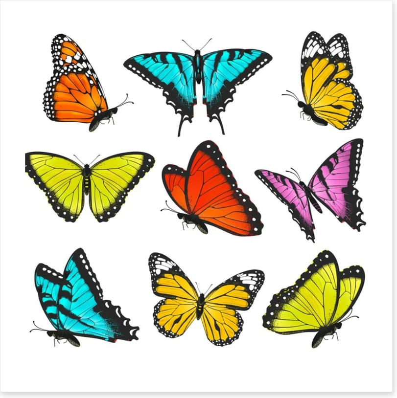 Butterflies - Image 2