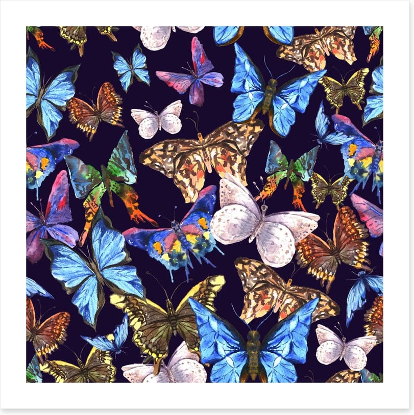 Butterflies - Image 2