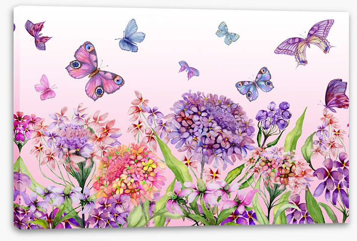 Butterflies in the iberis - Image 2