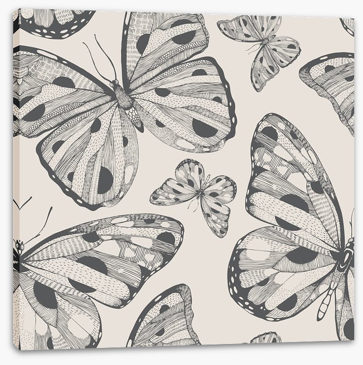 Butterflies - Image 2