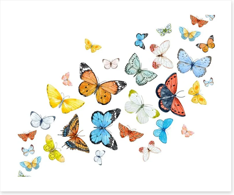 Butterfly flight - Image 2