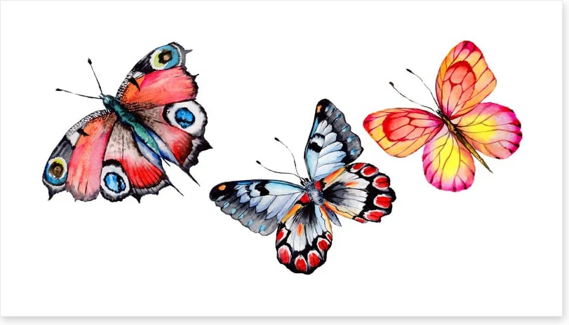 Butterfly trio I - Image 2