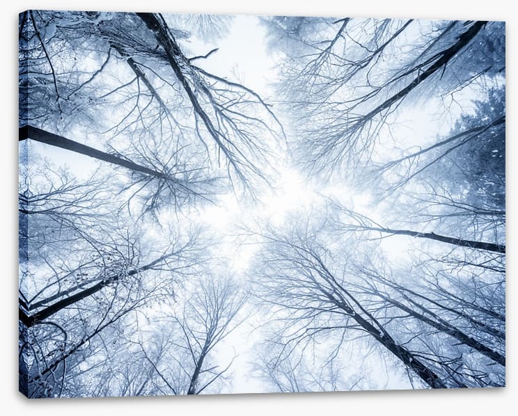 Canopy clouds - Image 2