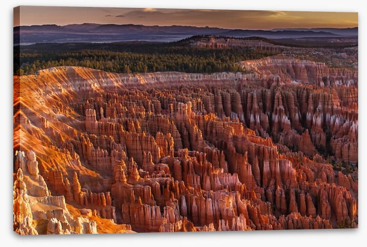 Desert - Image 2