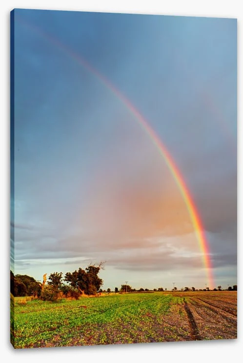 Rainbows - Image 2