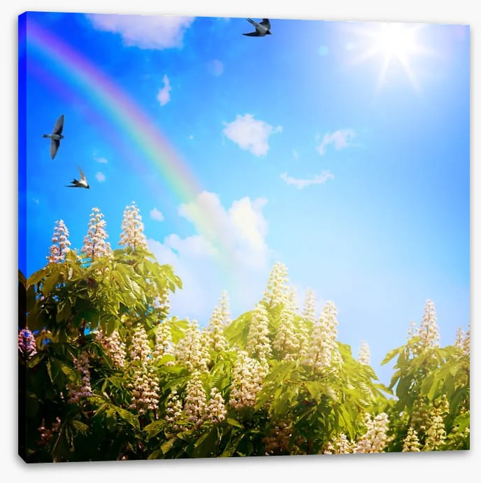 Rainbows - Image 2