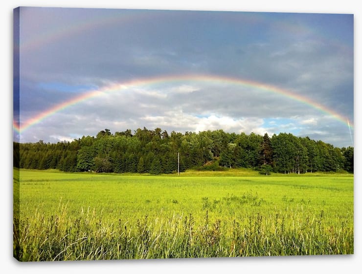 Rainbows - Image 2