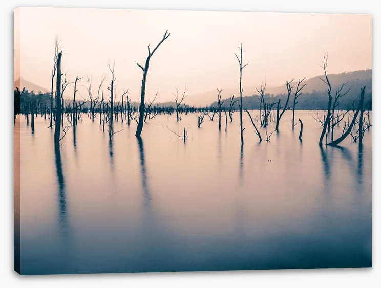 Tasmania - Image 2