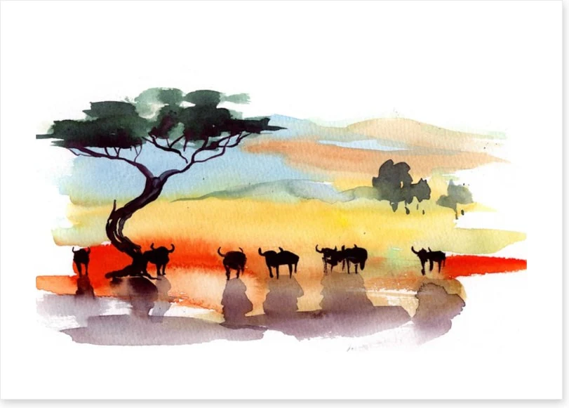 Cape buffalo sunset - Image 2
