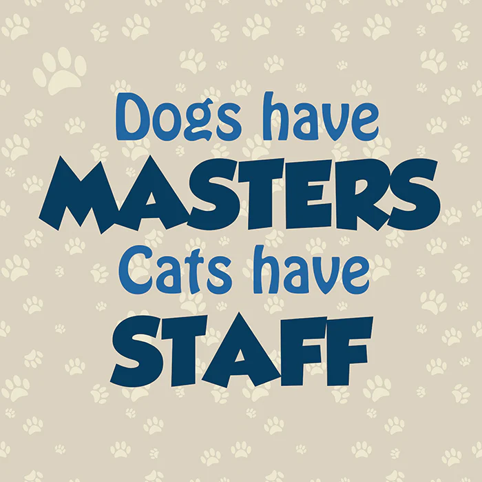 Cats and dogs