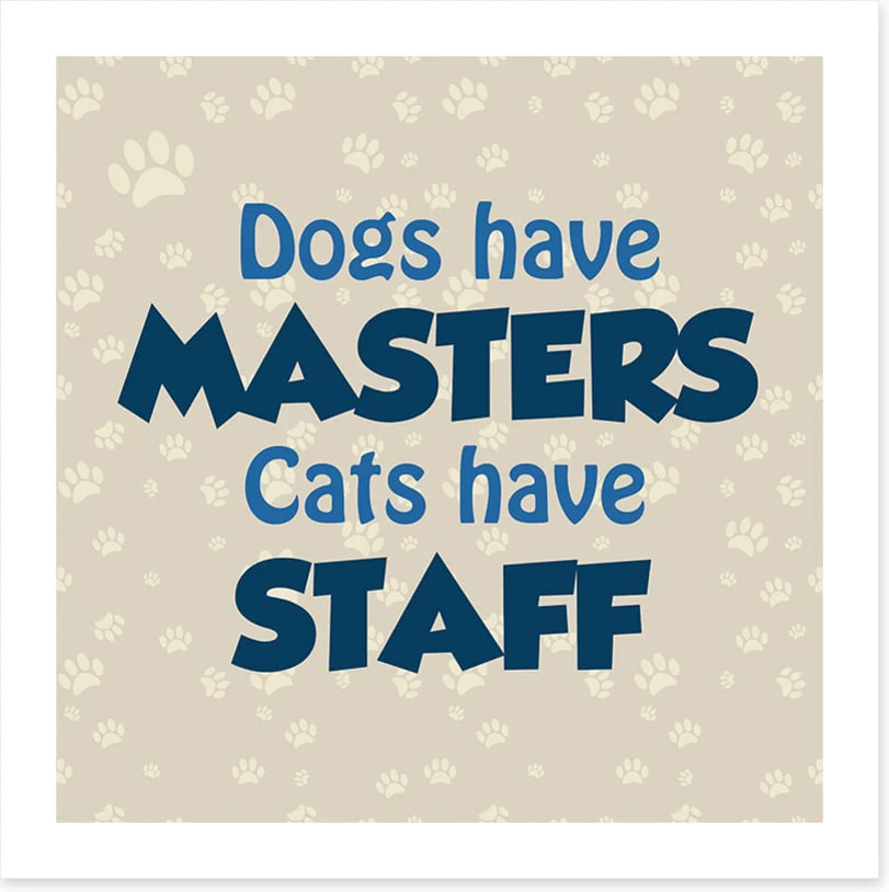 Cats and dogs - Image 2