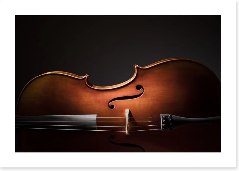 Cello silhouette - Image 2