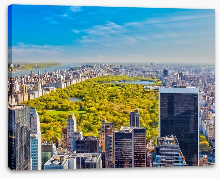 Central Park aerial, NYC - Image 2